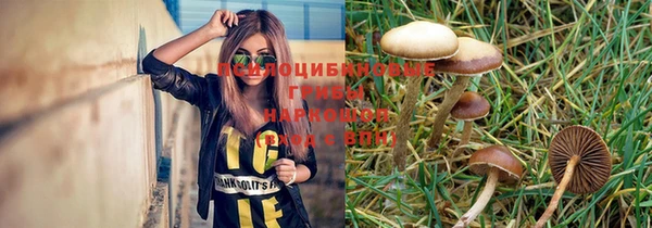 мяу мяу мука Алексин