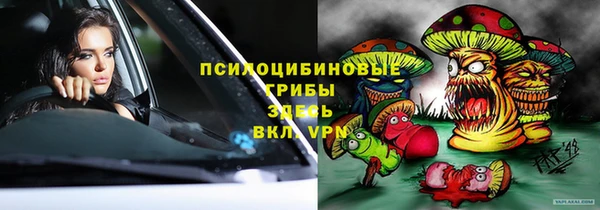 мдпв Абаза