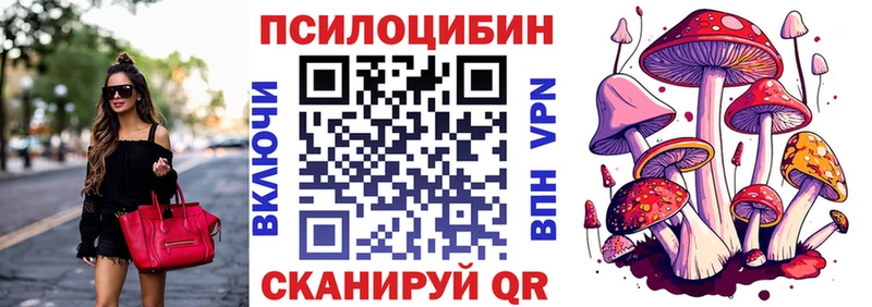 гидра вход  Таштагол  Псилоцибиновые грибы мицелий 